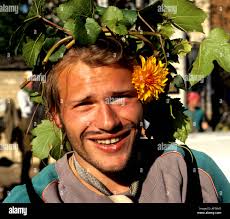 Flower vines hi-res stock photography and images