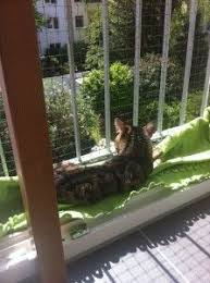 Tur Mit Katzennetz System Absichern Katzen Katze Balkon Fensterschutz Katze
