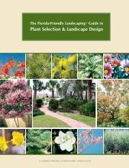 This is an absolutely stunning flower that is available in many colors. Plant Selection Landscape Design Southwest Florida Water