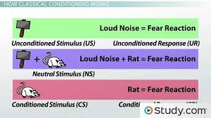 Classical Conditioning In Psychology Definition Principles Examples