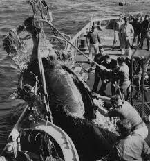 By john o'dell february 29th, 2016 Luxury 50 Of Challenger Crew Cabin Bodies Markmagazine Jul2008 Alandeoliveira