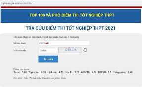 Năm nay tp.hcm có 89.275 thí sinh đăng ký dự thi tốt thpt. 9qvci3f13e4zhm