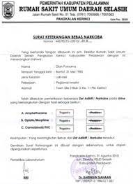 Contoh surat bnn / contoh surat lamaran kerja di bnn non pns : Cara Membuat Surat Keterangan Bebas Narkoba Contoh
