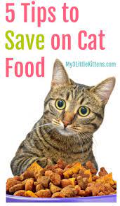 5 tips to save money on cat food my 3 little kittens best cat food cat food station diy cat food