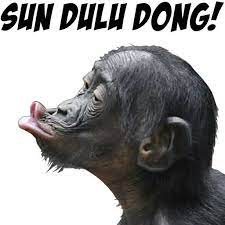 Pin Oleh Cak Kocem F4f Di Yang Saya Simpan Lol Meme Lucu