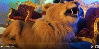 No one was harmed in the making of this film. Video Dosar Penal Pentru CantÄƒreÈ›ul Cu Videoclipul In Care Apare Un Leu RÄƒnit Si Subnutrit Melodia A Ajuns Rapid Nr 1 Pe Youtube