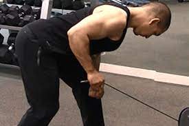 Check spelling or type a new query. Pin On All Triceps Exercises Arm Exercises