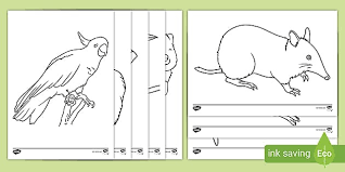 Please support our wonderful sponsors: Australian Animal Outlines And Templates Colouring Sheets