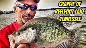 CRAPPIE OF REELFOOT LAKE- Greatest Moments with the Legends
