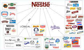 From military veterans to sustainability experts, our factory and support teams are built to thrive. Why Investing In Nestle Can Be Lucrative For Value Investors Pgm Capital