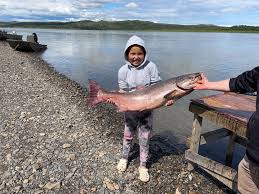 Kuskokwim Chinook
