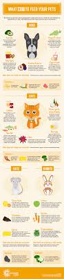 What Not To Feed Your Pets Pet Insurance Gocompare Com Animal Infographic Pets Healthy Pets