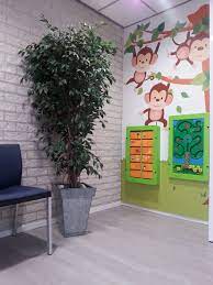 Click on the correct category before the animal dissapears! Kids Corner In Waiting Room