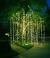 How To Put Christmas Lights On A Large Outdoor Tree
