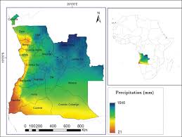 Image result for Micrargeriella aphylla