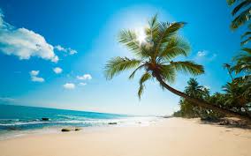 Check spelling or type a new query. Awesome Beach Background Wallpaper 2880x1800 15319