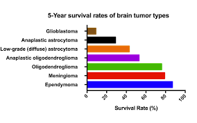 Glioblastoma — Laboratory For Precision Cancer Medicine