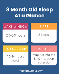 8-Month-Old Sleep Schedule (Sleep & Feeds) - The Postpartum Party