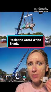 Exploring Rosie the Great White Shark in Urban Australia