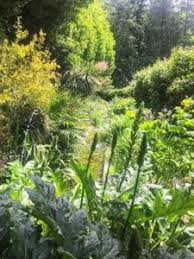 Le jardin botanique est une conception nouvelle infrastructure intelligente et de l'architecture s'inspire de la géométrie fractale, qui permet au projet de se le paysage est plus comme un jardin botanique d'un classique. Le Parc Botanique De Haute Bretagne Le Flaneur Rennais