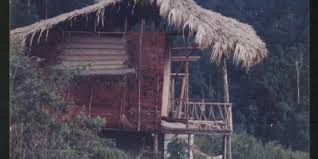 Sie waren bereits in the dusun?teilen sie ihre erfahrung! Self Catering Rainforest Bungalows The Dusun A Little Piece Of Paradise Tucked In The Hills Of Negeri Sembilan