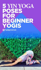 5 Yin Yoga Poses For Beginner Yogis Yin Yoga Poses Yin Yoga Yoga Poses