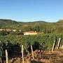 Profile Picture of Domaine Damien Martin - SoilAir Selectionon Google