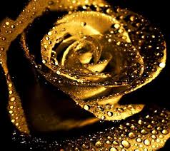 Maybe you would like to learn more about one of these? Rose Gold Flowers Wallpapers Wallpaper Cave