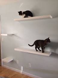 Ikea For The Idea For Cat Shelves Staggered Ikea Lack White Shelves Etagere Pour Chat Chambre A Theme Chat Jeux De Chat