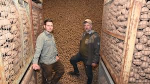 landwirt verschenkt kartoffeln