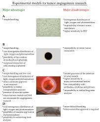 Cancer remains a difficult disease to treat, but the emerging therapies are increasingly effective. Cancers Free Full Text Potentiality Limitations And Consequences Of Different Experimental Models To Improve Photodynamic Therapy For Cancer Treatment In Relation To Antiangiogenic Mechanism