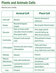 Maybe you would like to learn more about one of these? Cell Structure Grade 9 Understanding For Igcse Biology 2 2 2 3 2 4 Pmg Biology