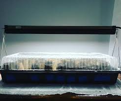 Check spelling or type a new query. Ferry Morse Indoor Grow Light With T5 Bulb Walmart Com Walmart Com