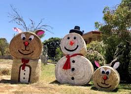 Hay bale is a block from vanilla minecraft. Abc Perth Spreading The Christmas Cheer Wa How Facebook