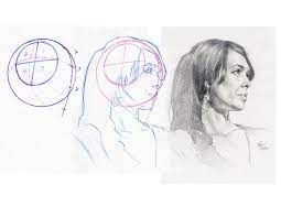 Prismacolor Paper This Composite Head Show The Similarity And Also The Differences Between Male And Female Heads Female Head Figure Drawing Drawings