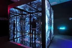 Birch Aquarium At Scripps Institution Of Oceanography 2300 Expedition Way La Jolla Ca 92037 Infinity Cube Birch Aquarium At Scripps In 2020 Birch Aquarium Public Aquarium Aquarium