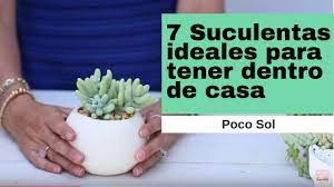 Pin En Flores