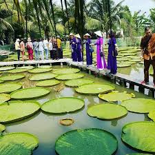 Trên địa bàn xã có bệnh viện đa khoa đồng tháp, bệnh viện tâm trí. Chua La Sen Chua PhÆ°á»›c Kiá»ƒn HÆ°á»›ng Dáº«n Du Lá»‹ch 2021