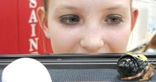 Whiz kids show off science projects