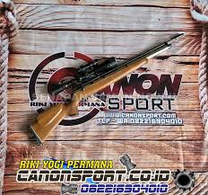 A wide variety of senapan pcp options are available to you Senapan Angin Pcp Mouser Od 32 Distributor Senapan Angin Pcp