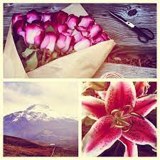 He remembered the bouqs company and reached out for help. Bouqs Volcanic Flowers The Bouqs Company Shark Tank Blog