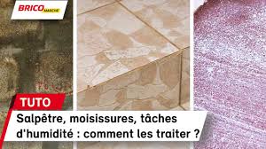 Maybe you would like to learn more about one of these? Comment Traiter Le Salpetre Les Moisissures Et Les Taches D Humidite Bricomarche Youtube