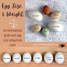 Egg Size And Weight An International Guide With Egg Size Comparison Chart