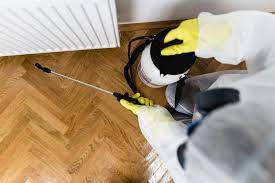 I want them to leave my house, but i do not want to kill them. Help There Are Ants In My Apartment Apartments Com