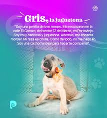 Alcaldía de Portoviejo added a...