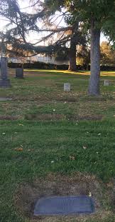 Robert Daniel Wilfong (1890-1976)