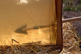 「"Responses" "Stone Age"」的圖片搜尋結果