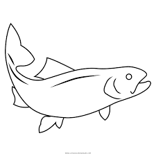 Download arctic coloring sheets for free. Salmon Coloring Page Ultra Coloring Pages