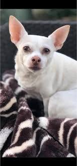 Brandon Tarbox's Instagram, Twitter & Facebook