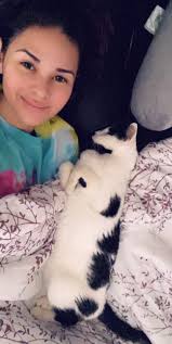 Loss of Beloved Dog, Catcher